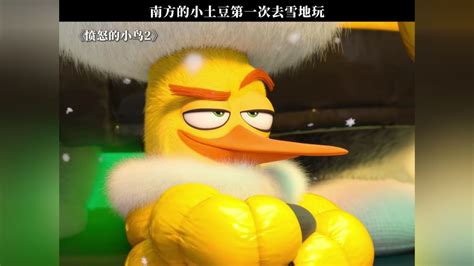 震宫东四命是什么_东四命详解,第3张 震宫东四命是什么_东四命详解,第3张